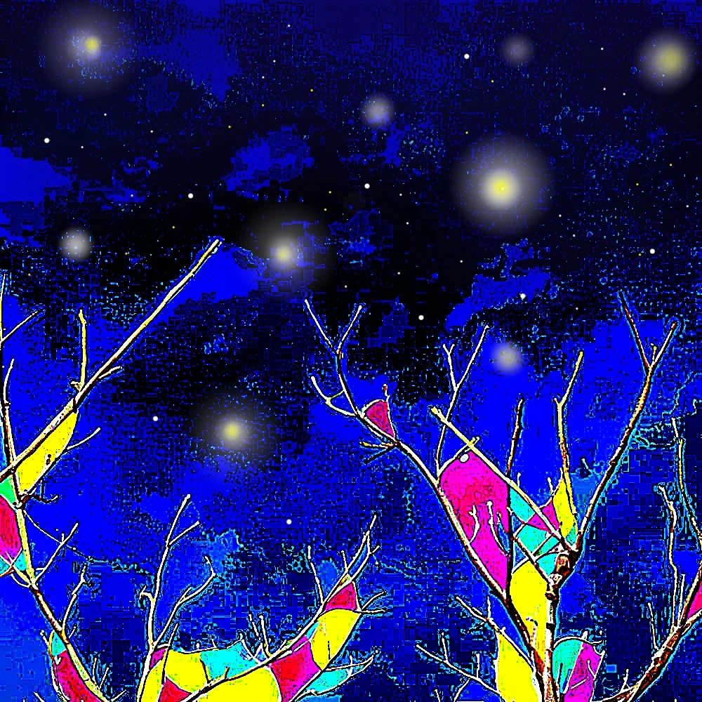 Peaceful Night #2