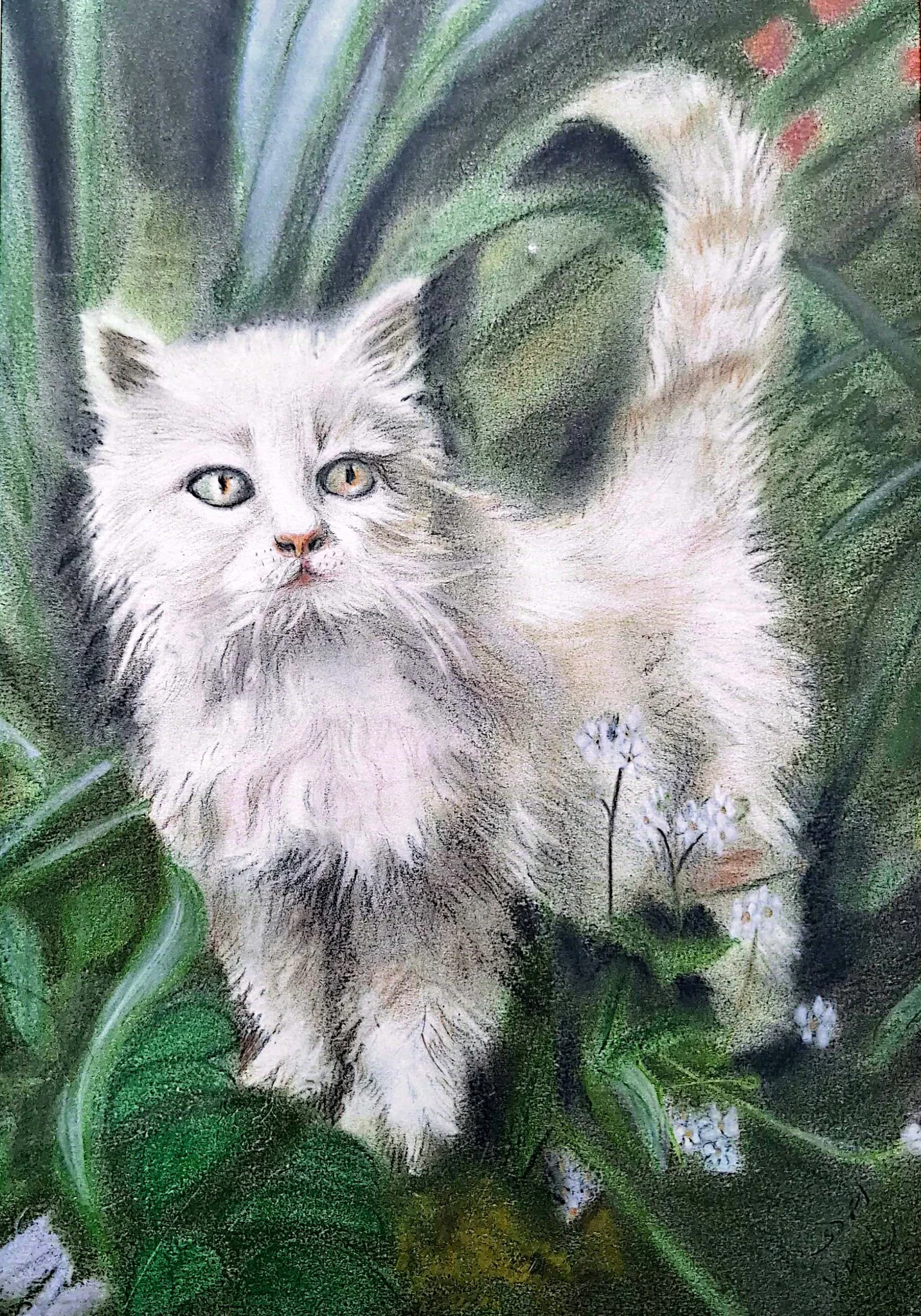 Persian Cat