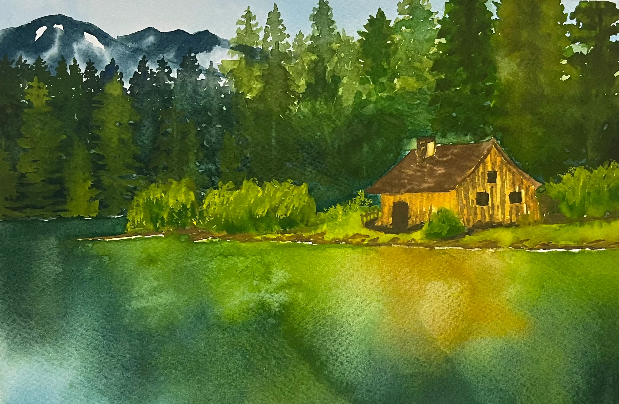 Evergreen forest