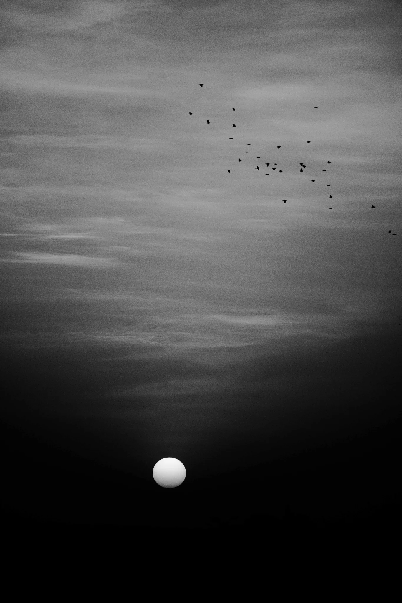 Eulogies of Dusk