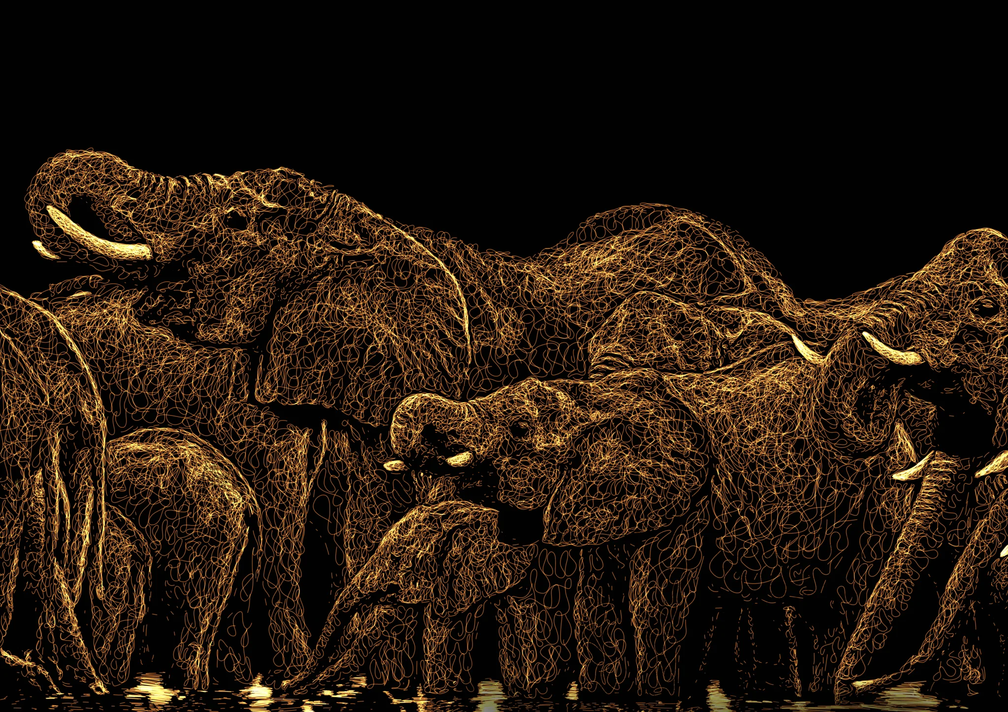 Herd