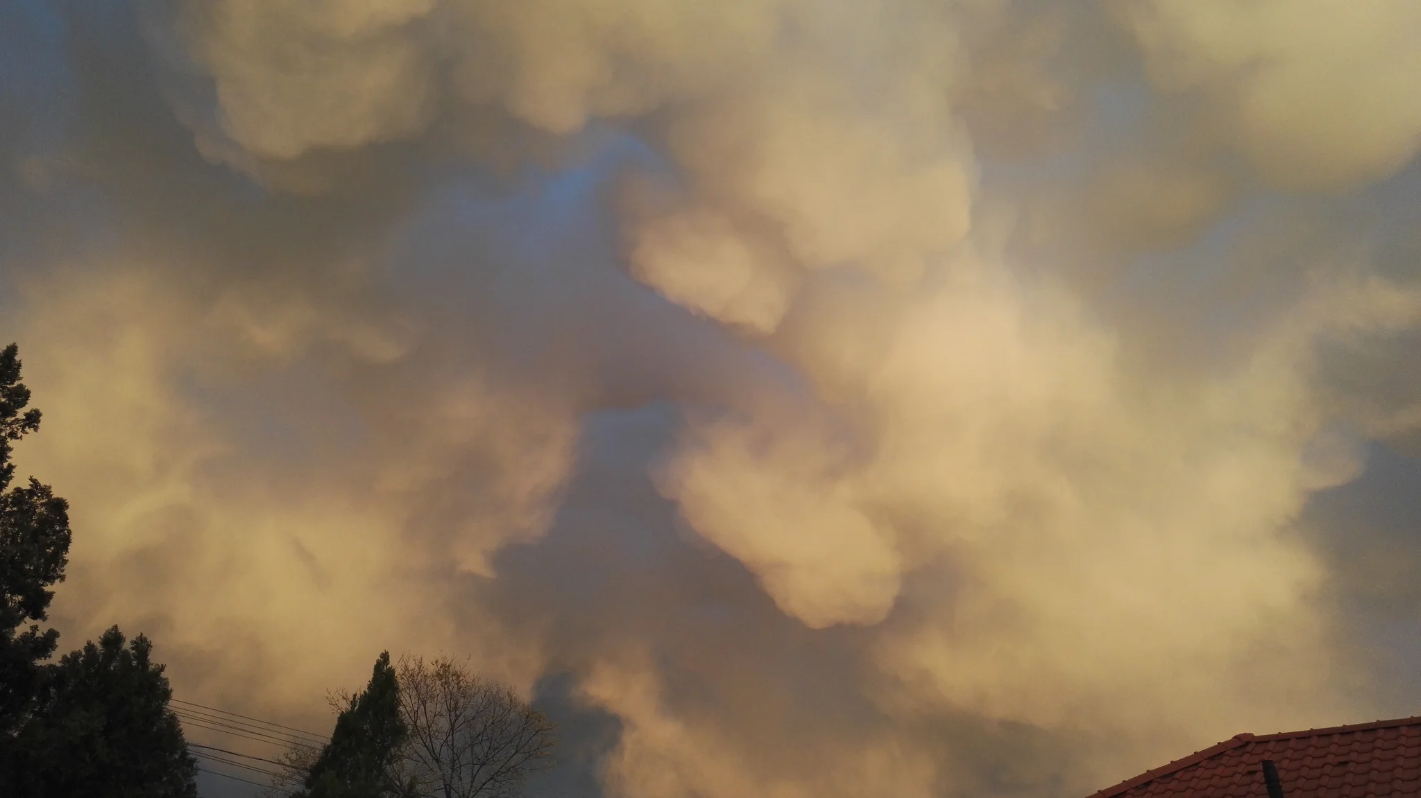 After thunderstorm2
