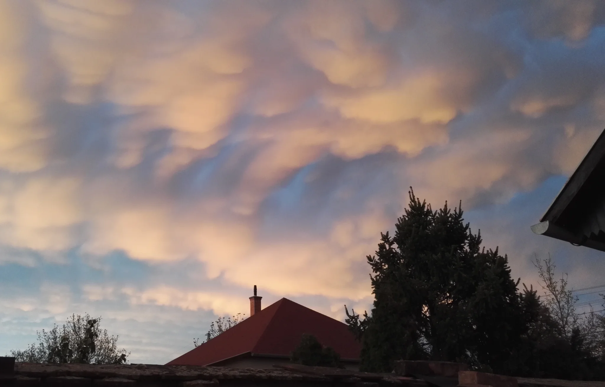 After thunderstorm3