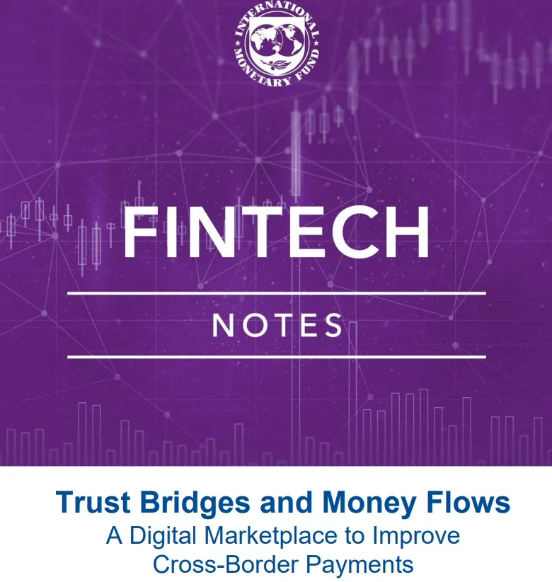 IMF staff recommendations in Trust Bridges and Money flows