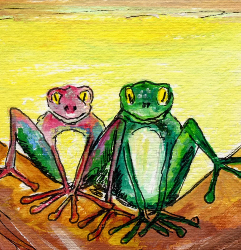 Wondering Wandering Frog