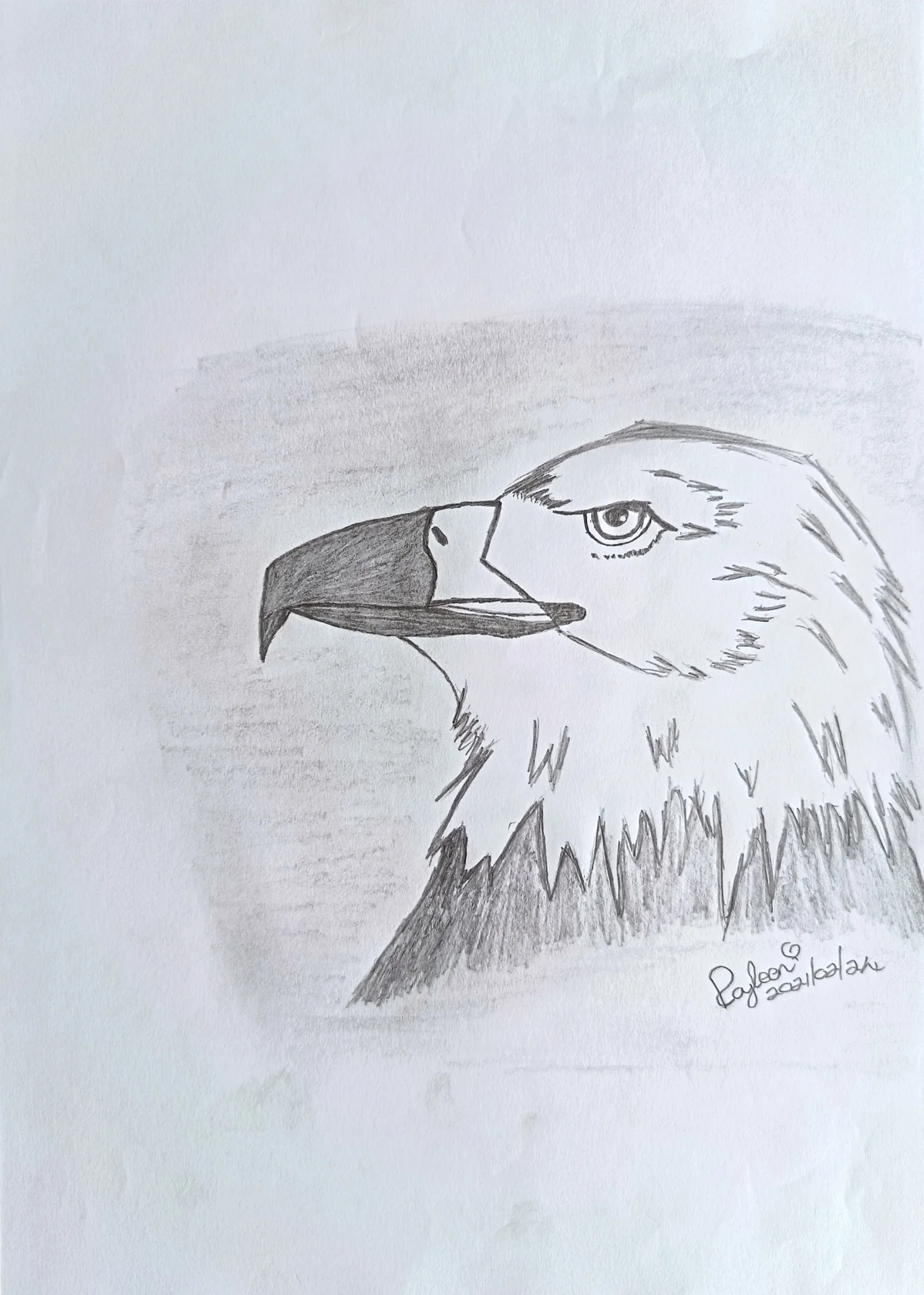 Eagle