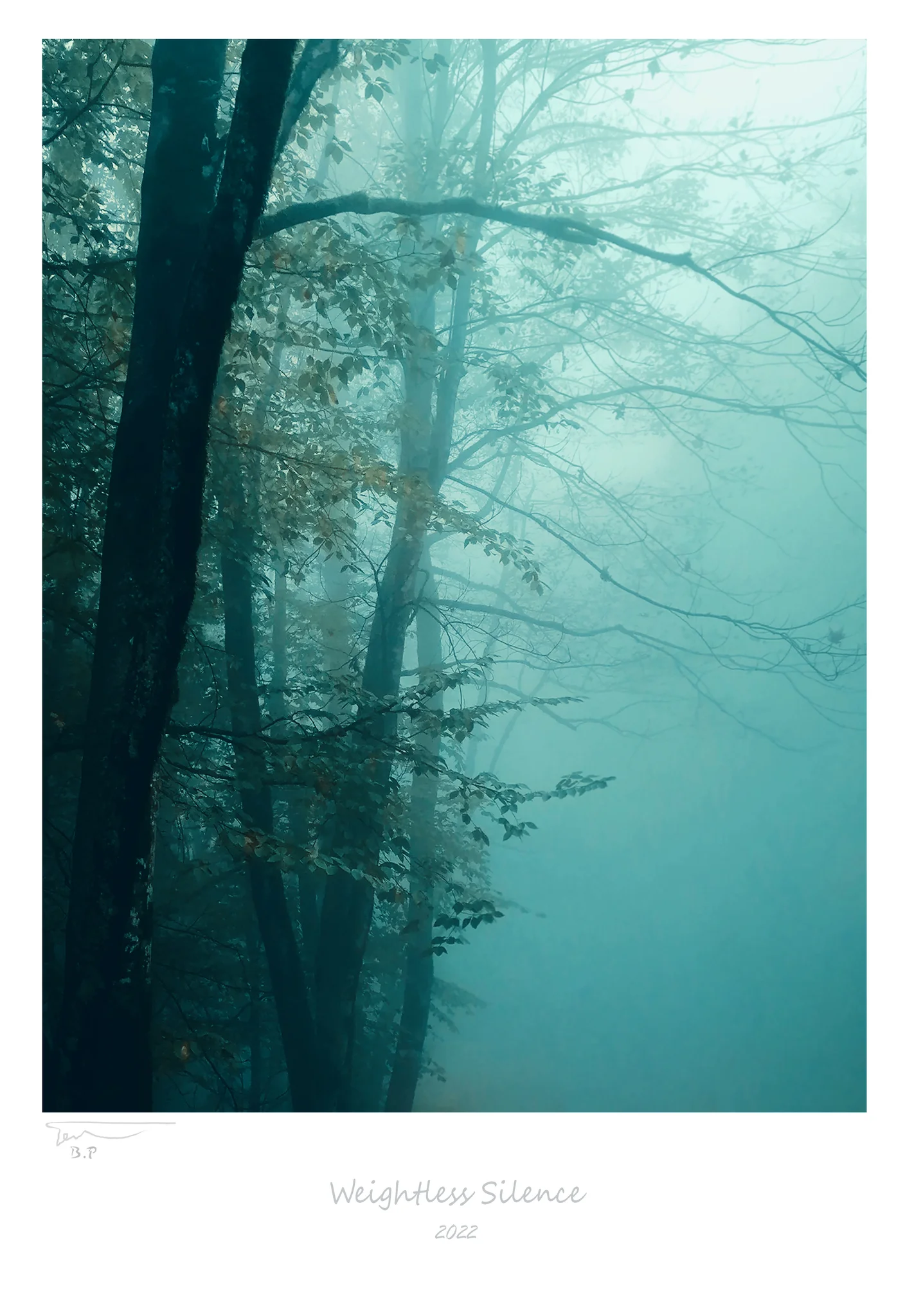 Weightless Silence