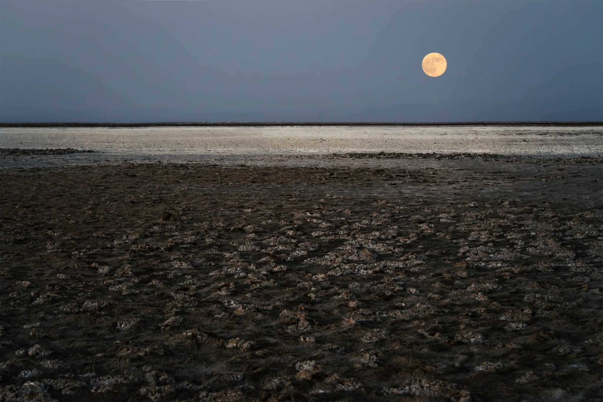 Salt marsh 