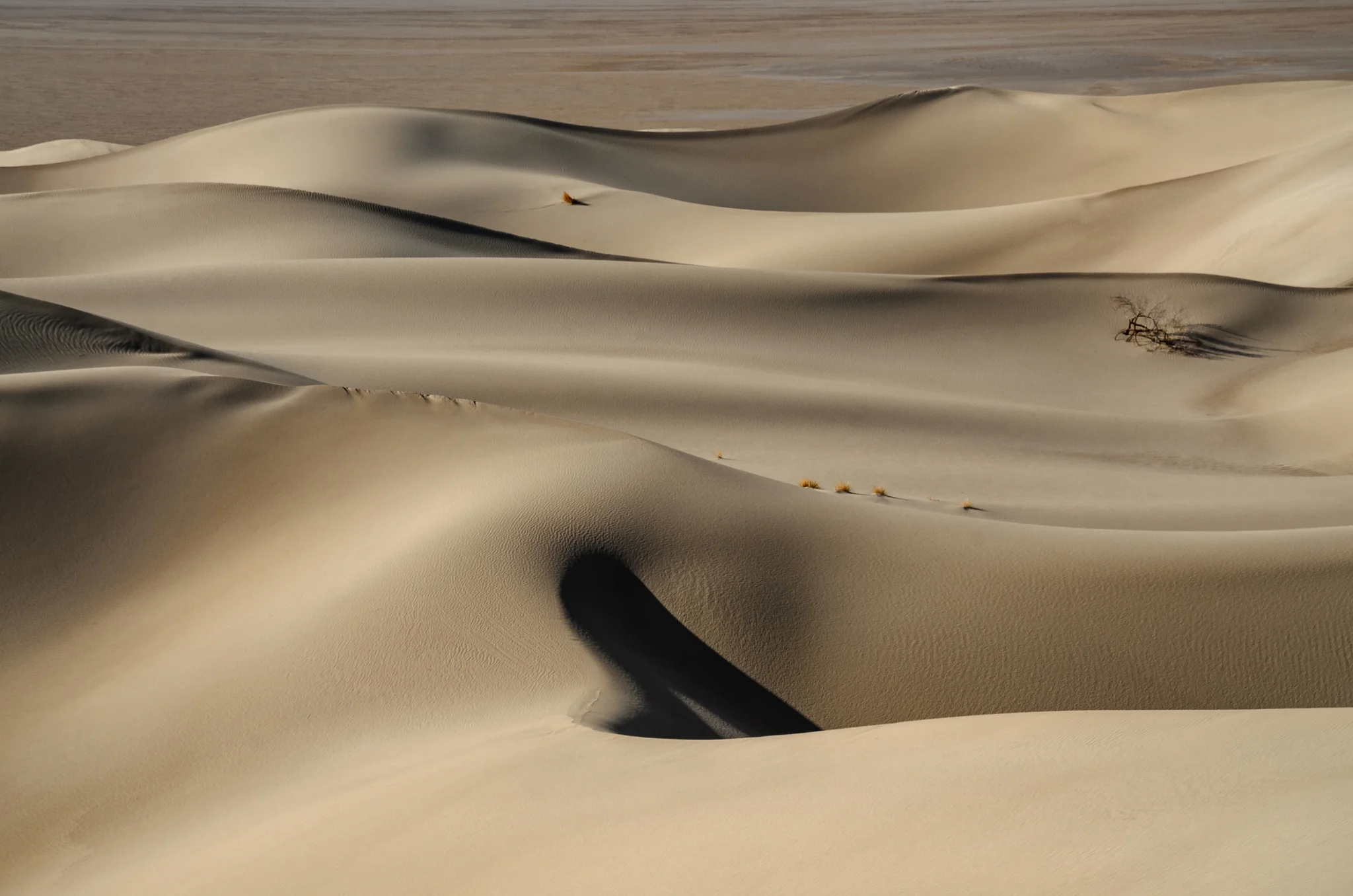 Varzaneh desert