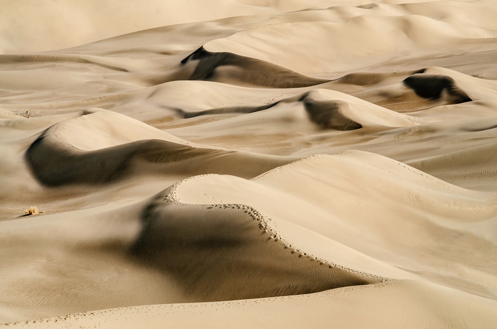 khara desert 