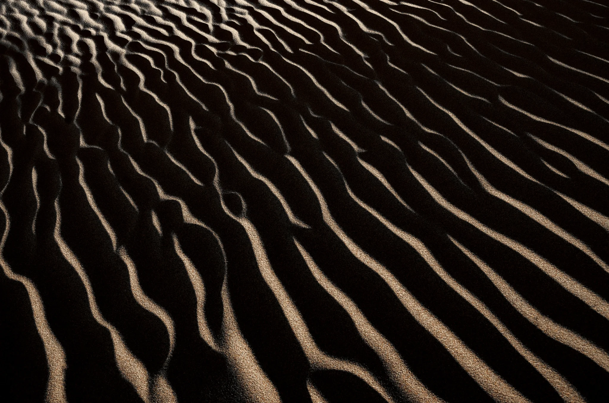 Varzaneh desert 