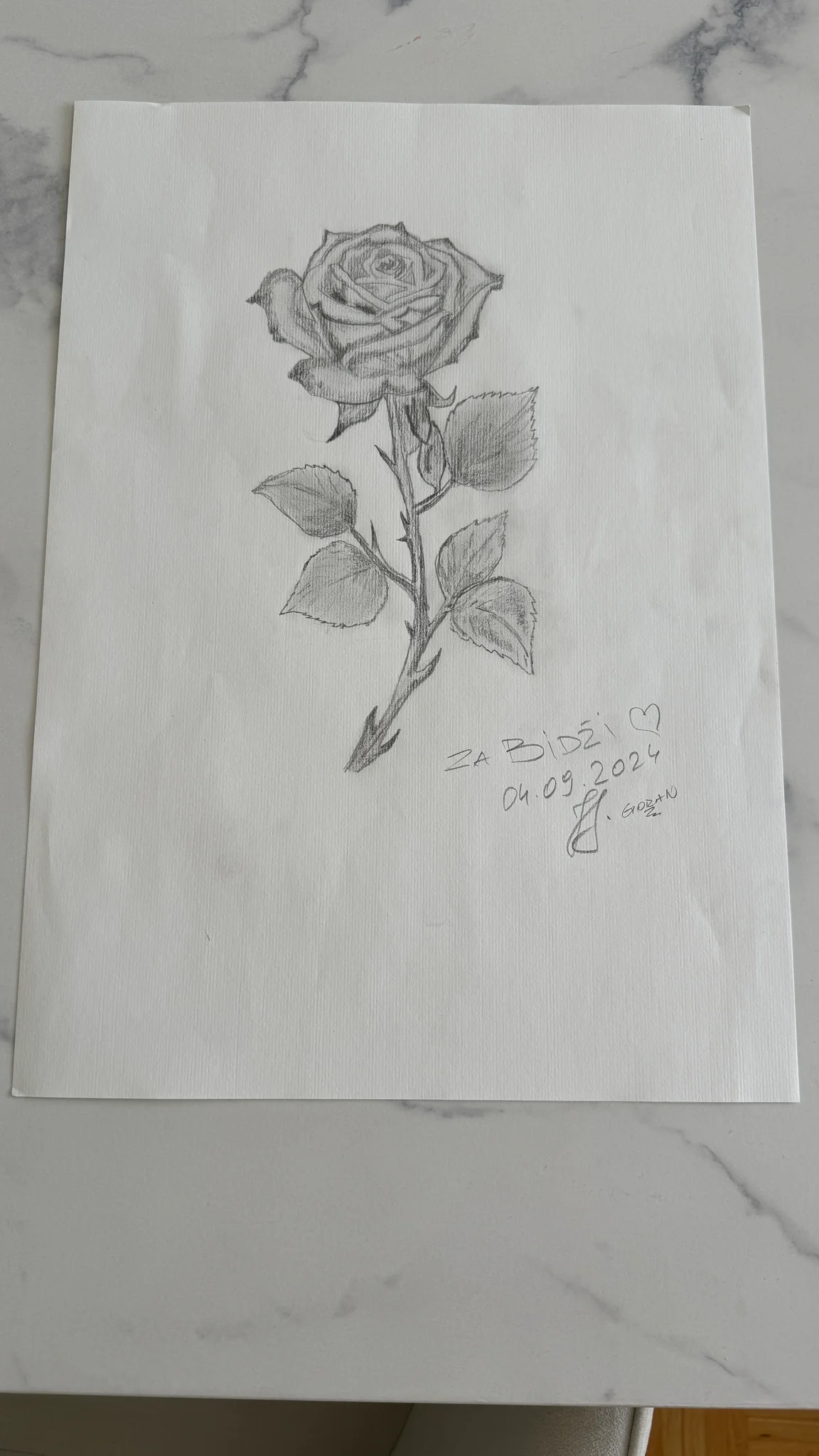 Rose