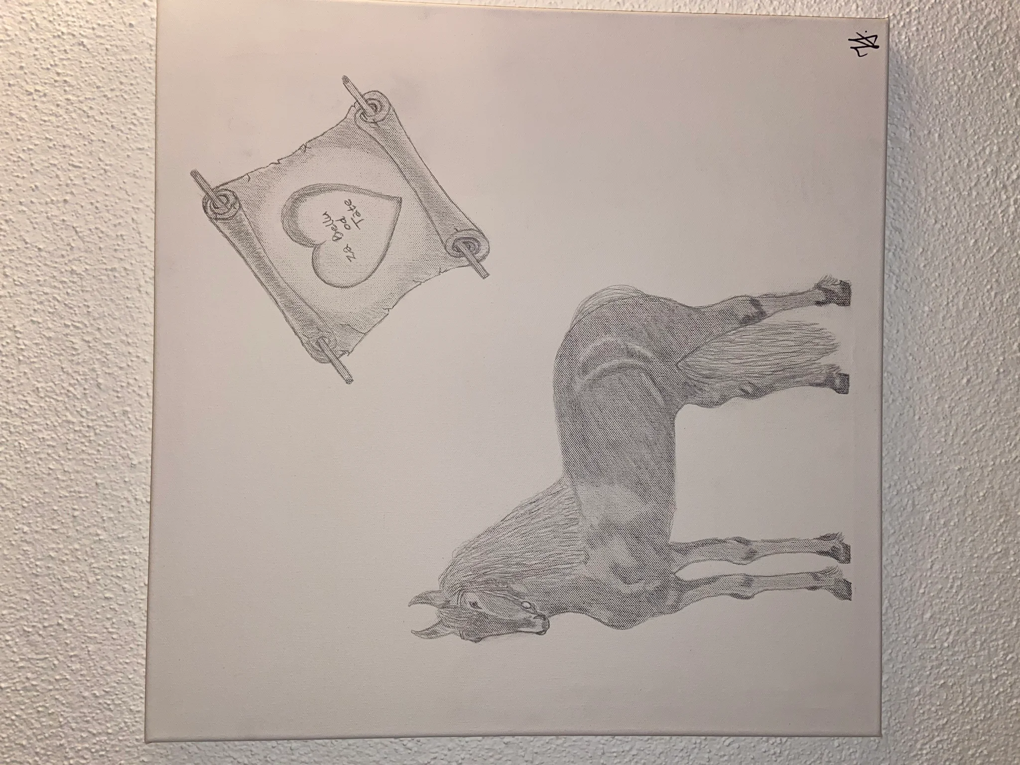 for Bella