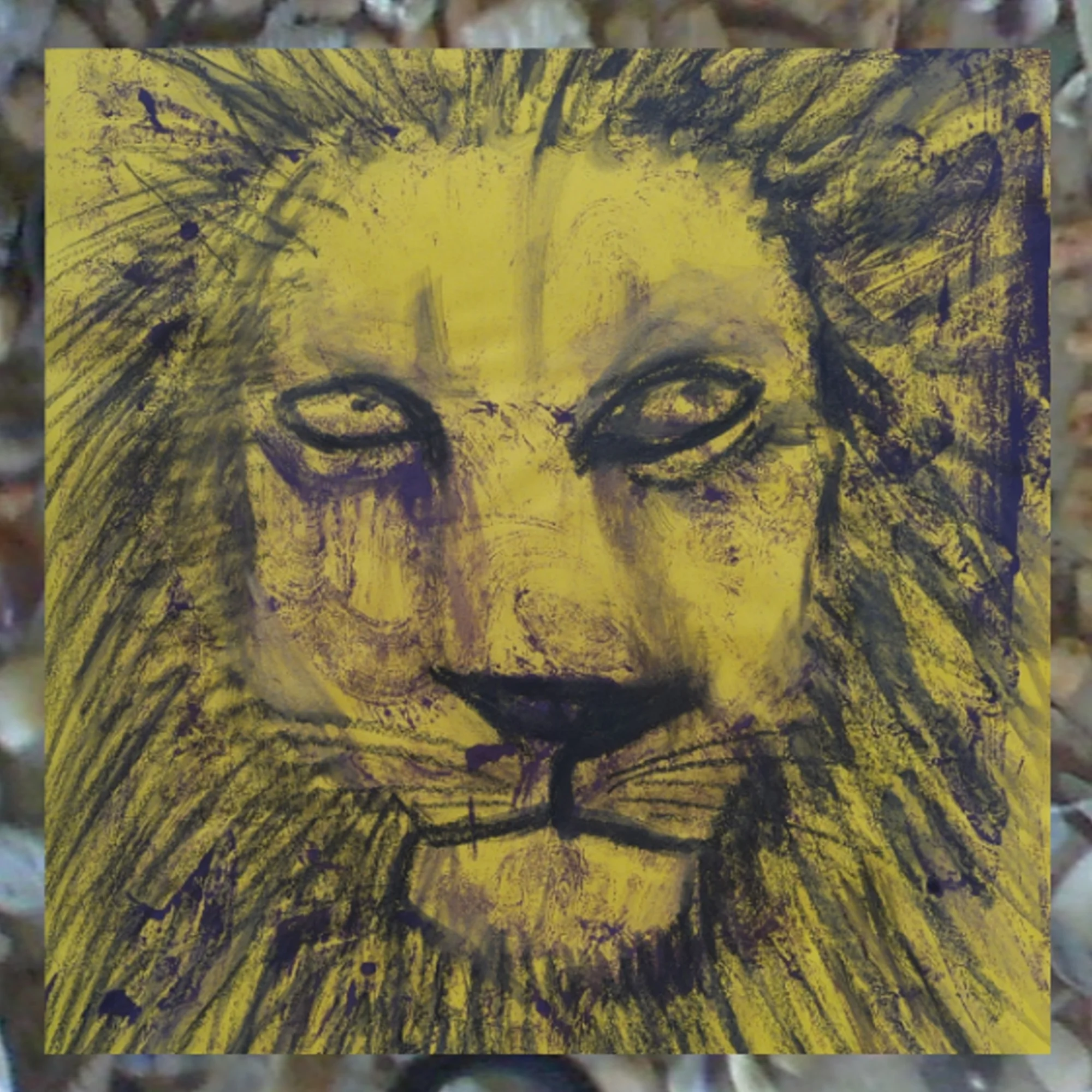 LION SHINE1