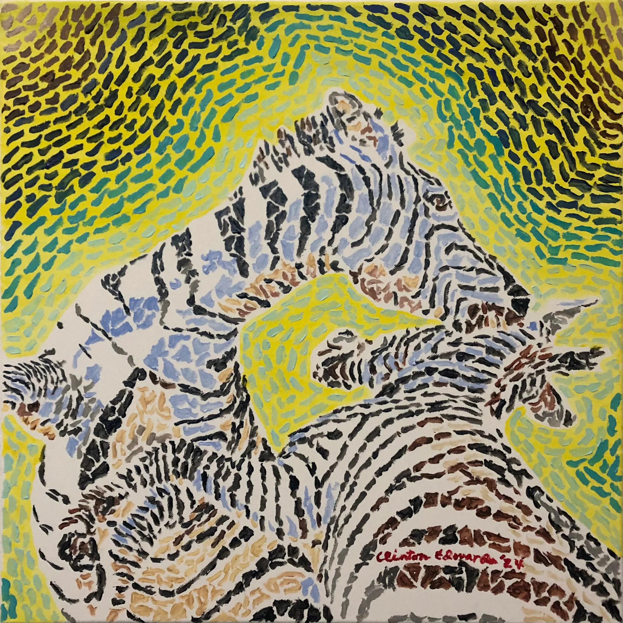 Zebra Scuffle 