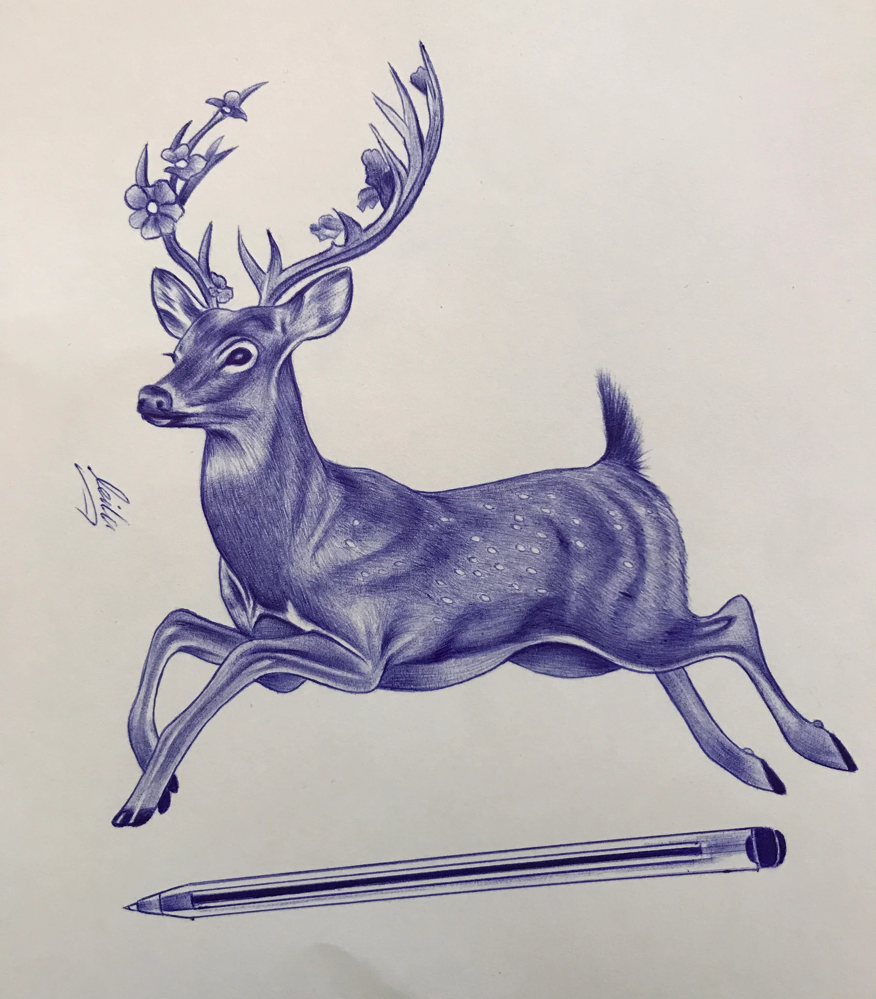 Deer 🦌 
