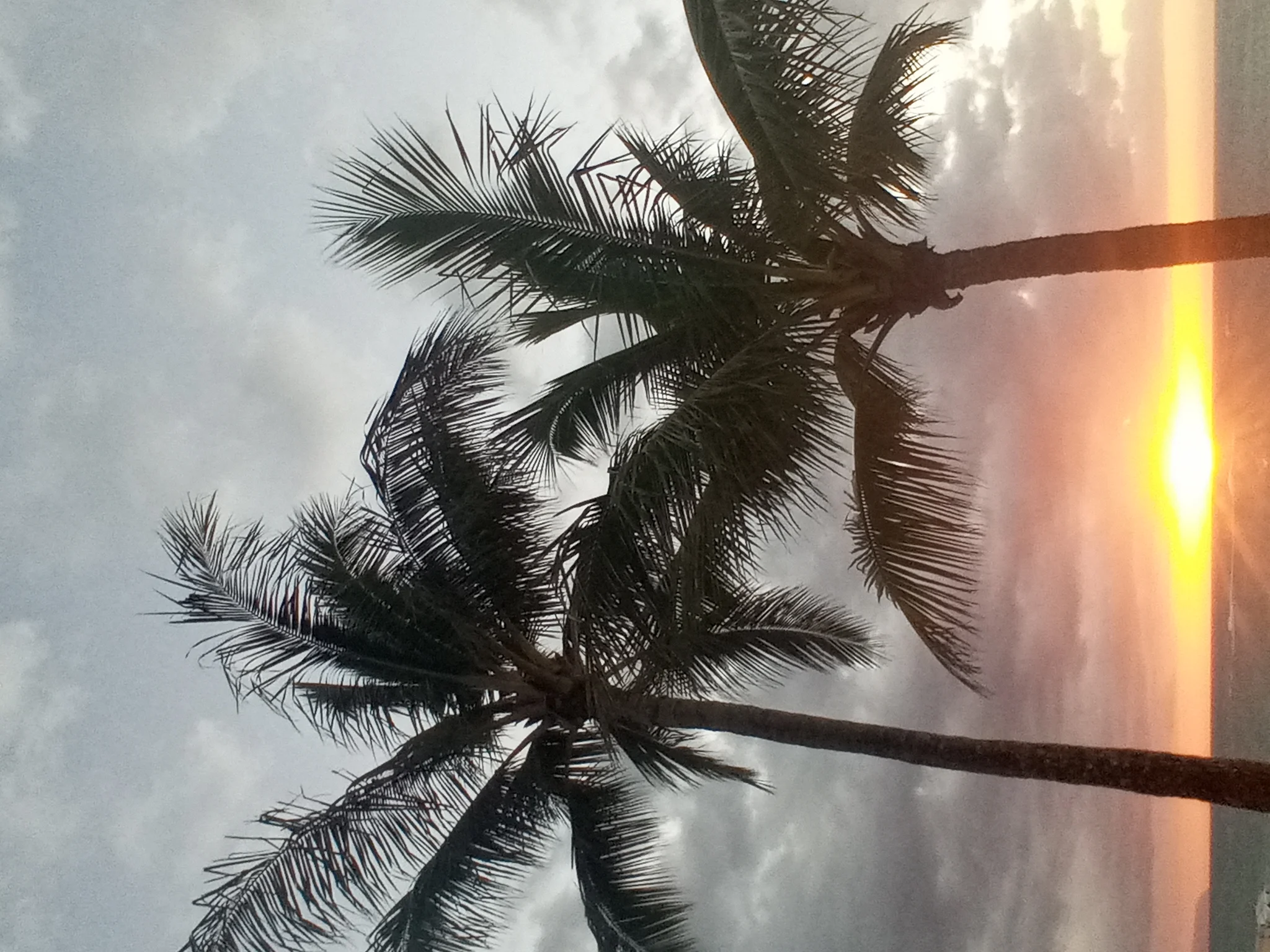 Sunset Time