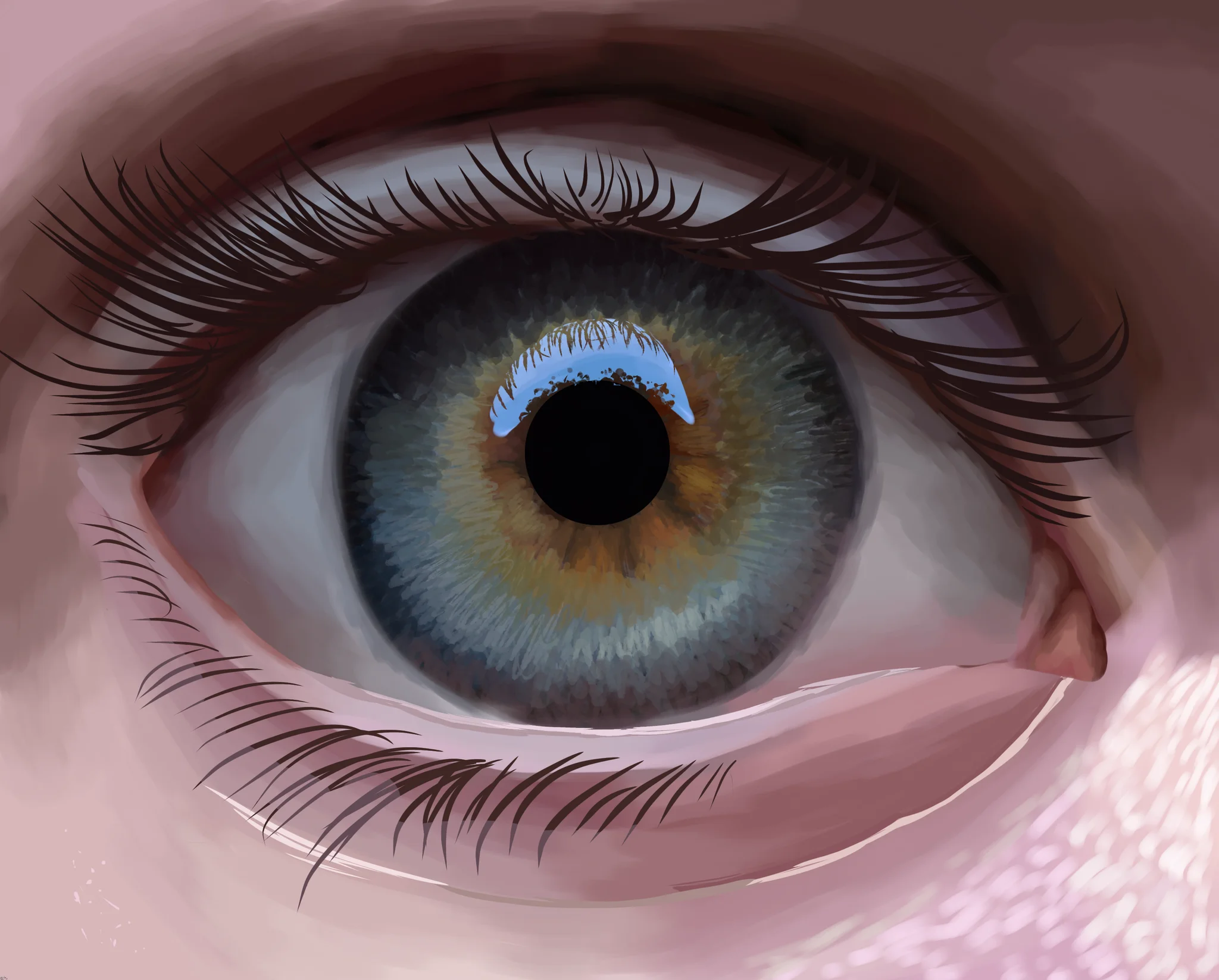 Daydream Portal