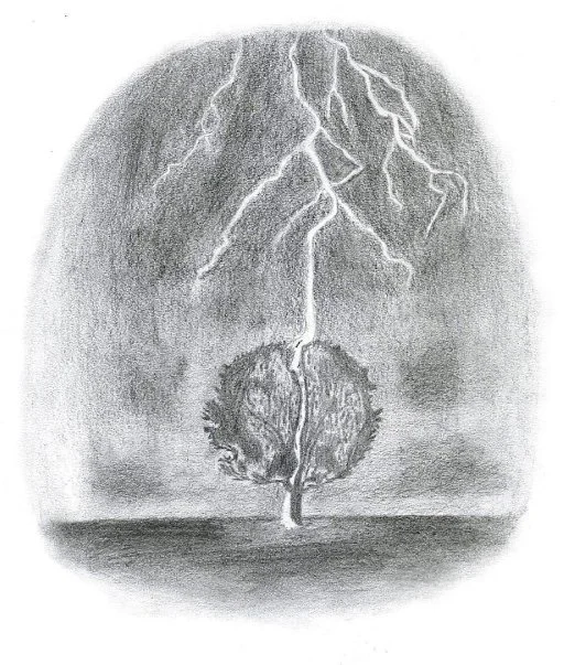ELECTROCUTION