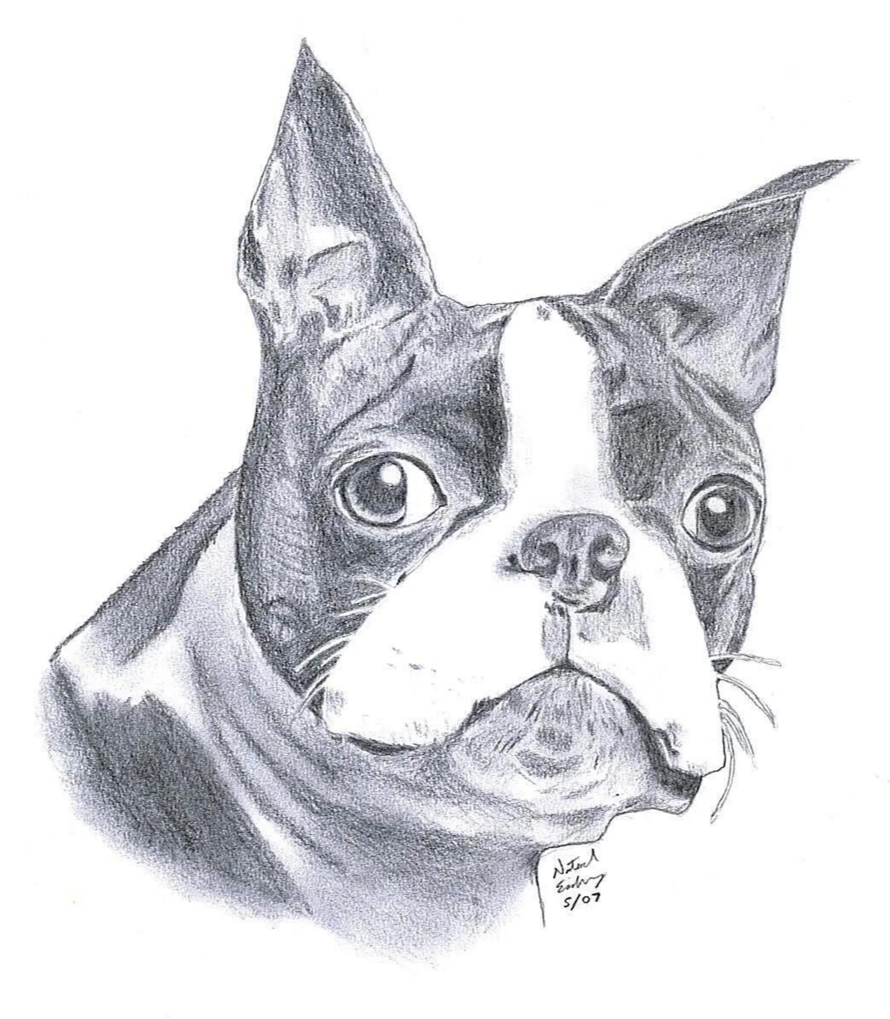 THE BOSTON