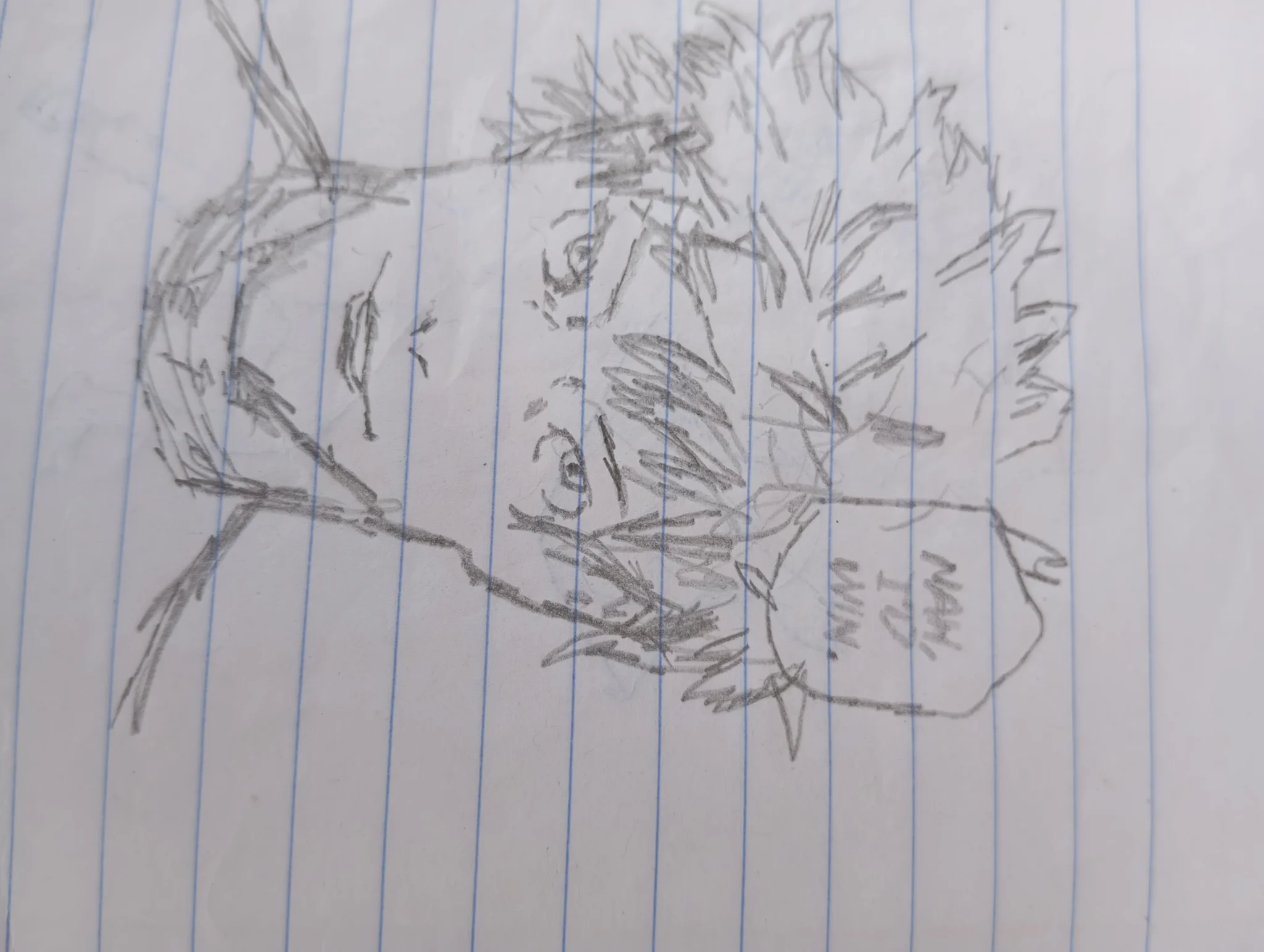 gojo(final arc)
