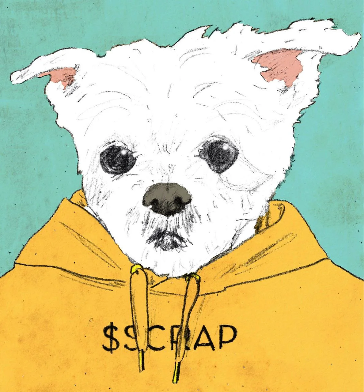 Scrappy #12
