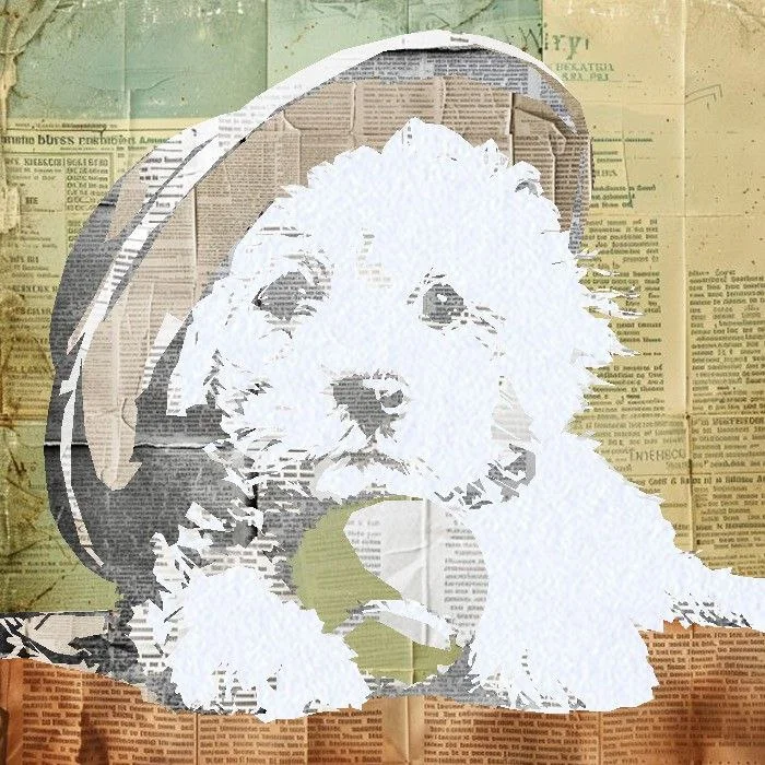 Scrappy #11
