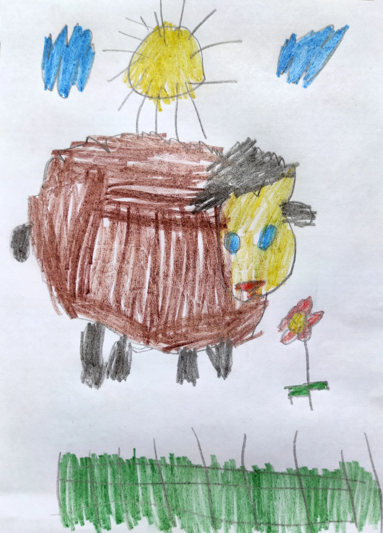 Sheep in the plain