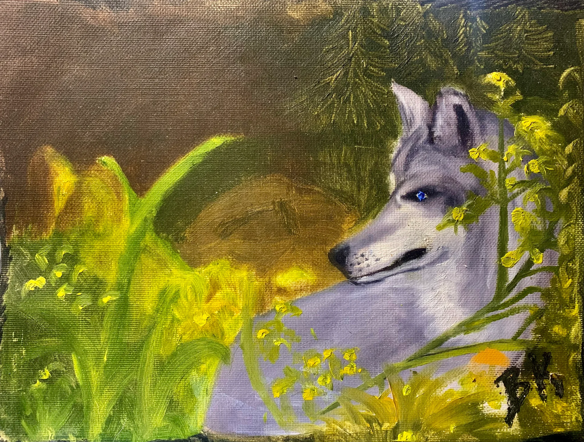 Spring Wolf