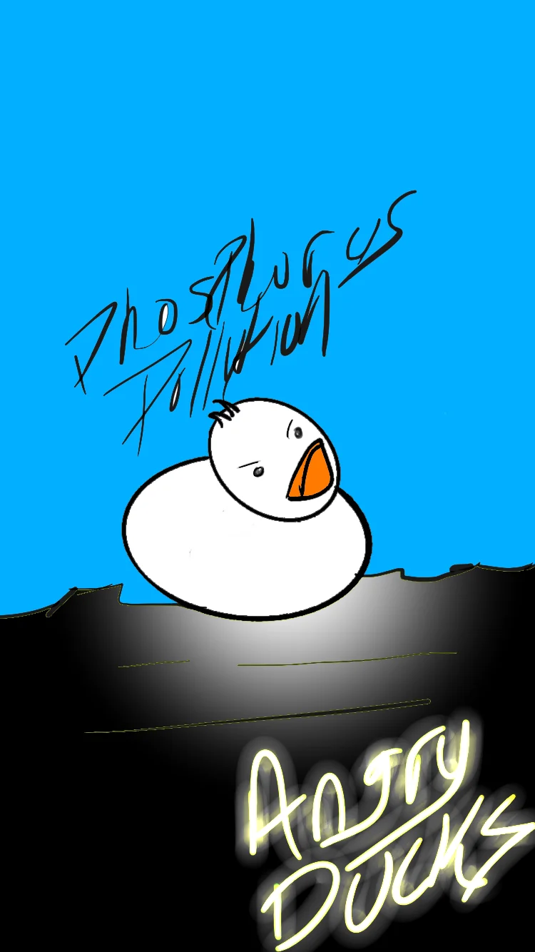 Angry Ducks Phosphorus Pollution