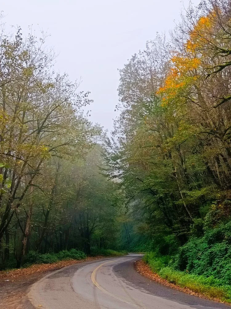 Road