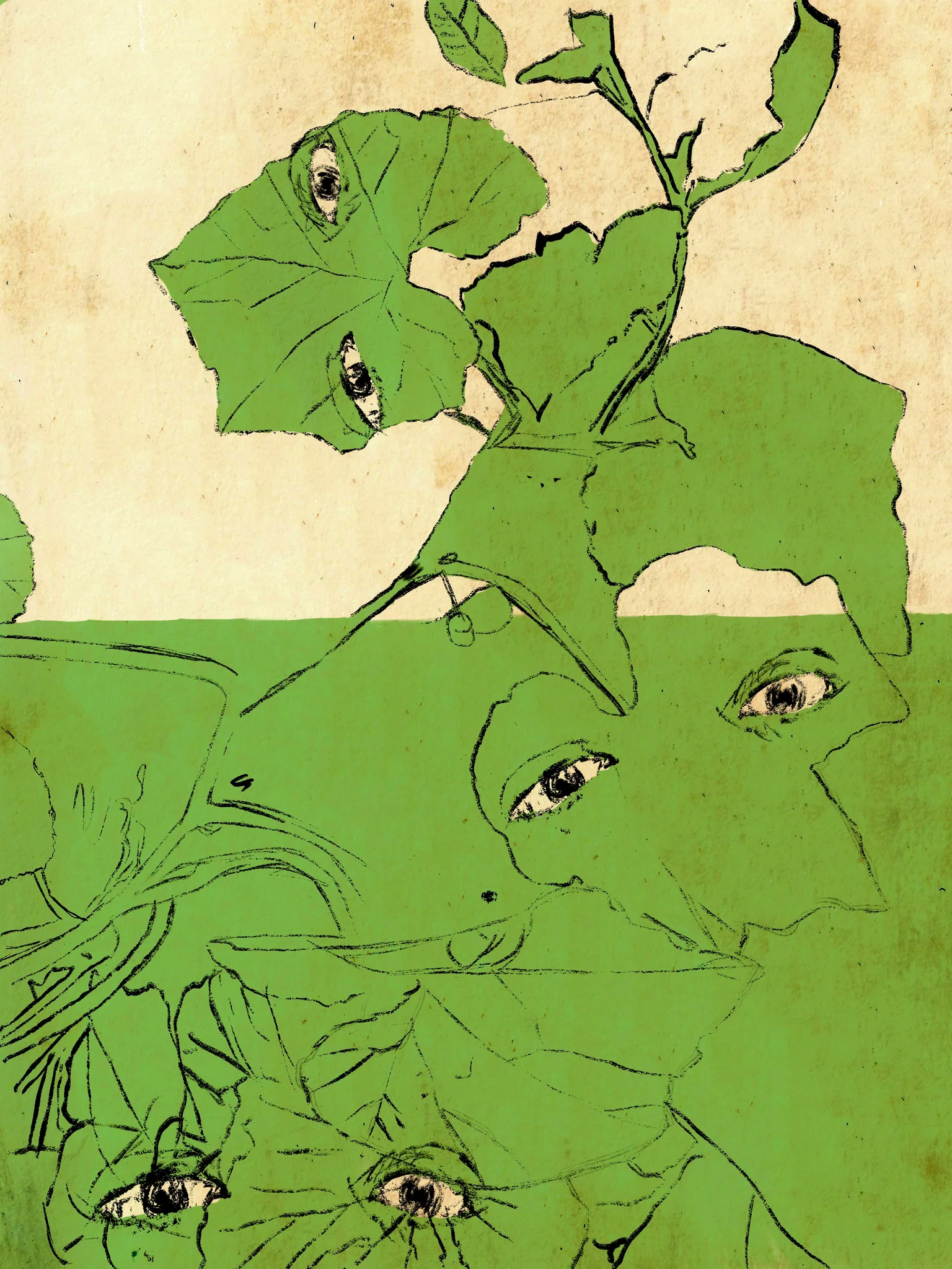 Plants And Eyes