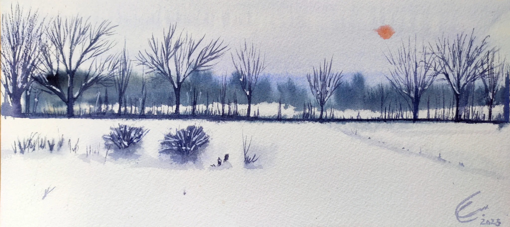 Kind Snow 
