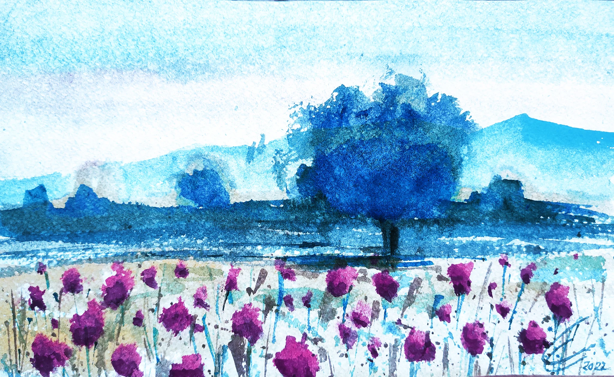 The Lonely Tree 