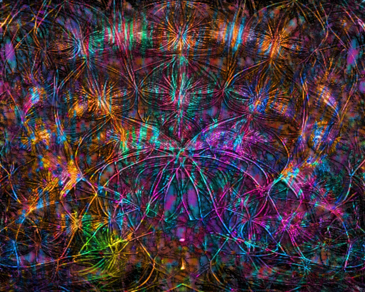 Fireworks of the Mind