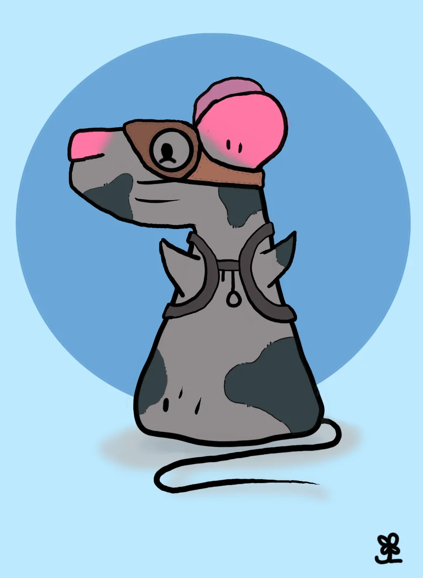 AFA Rattie AD#51
