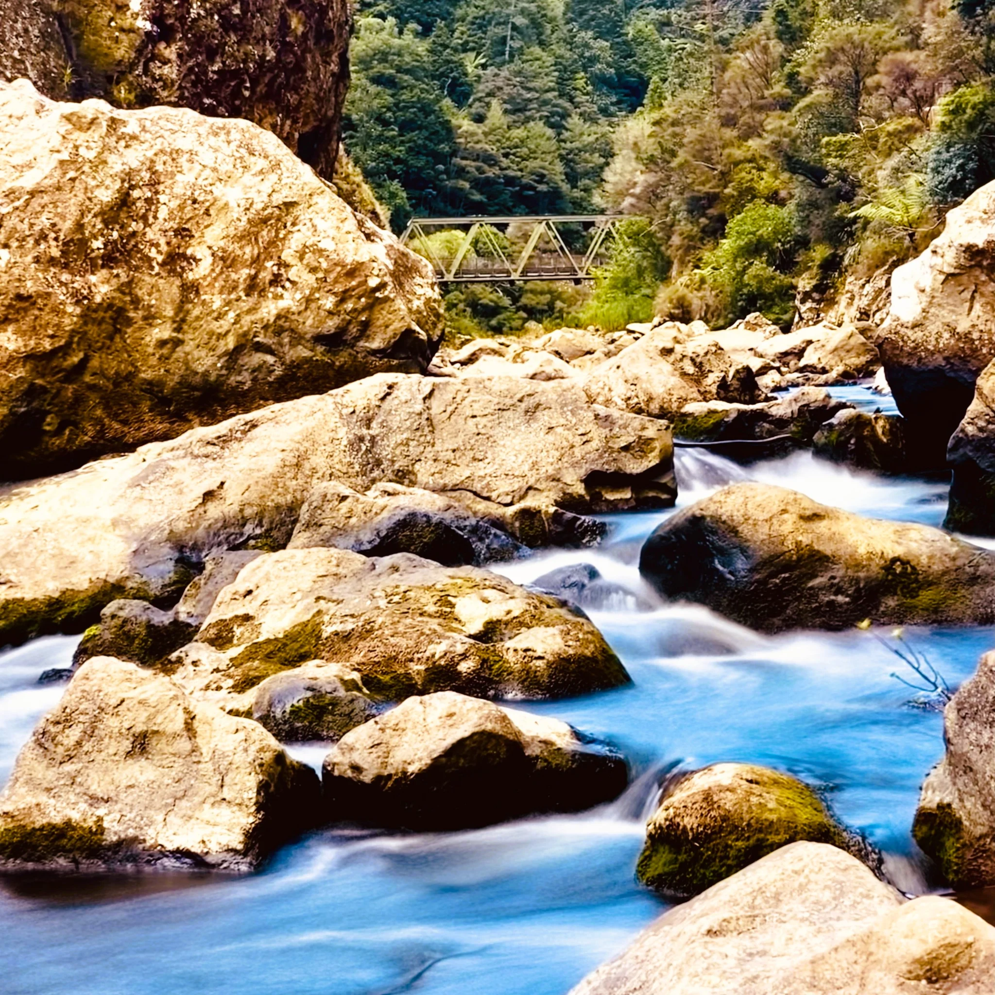 Tranquility in the Gorge 