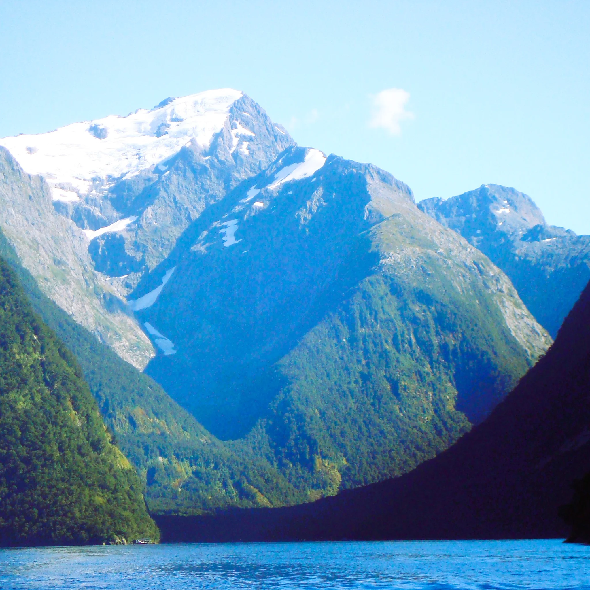 Nature’s Cathedral of Wonder
