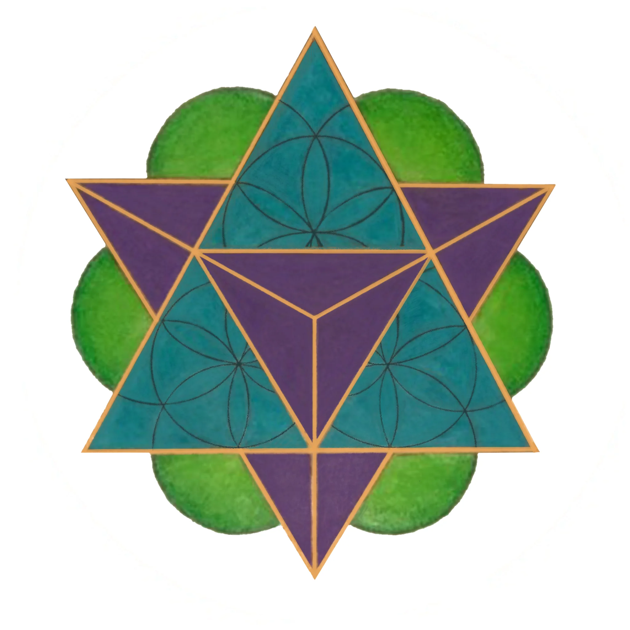 Seed Of Light