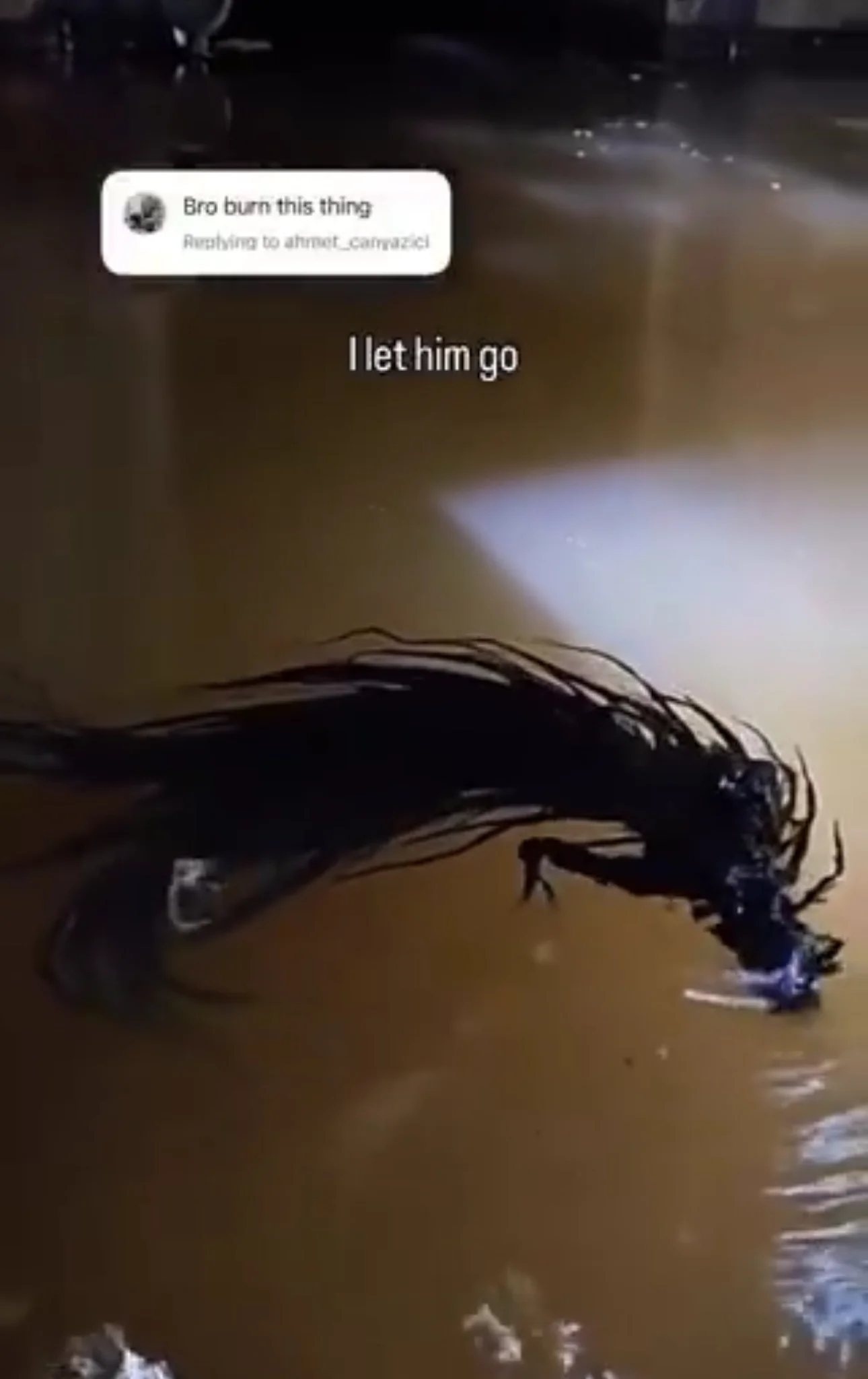 PanXalien