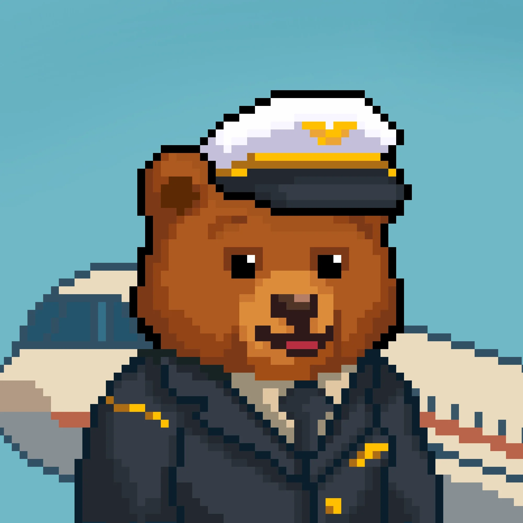 Pilot Bear