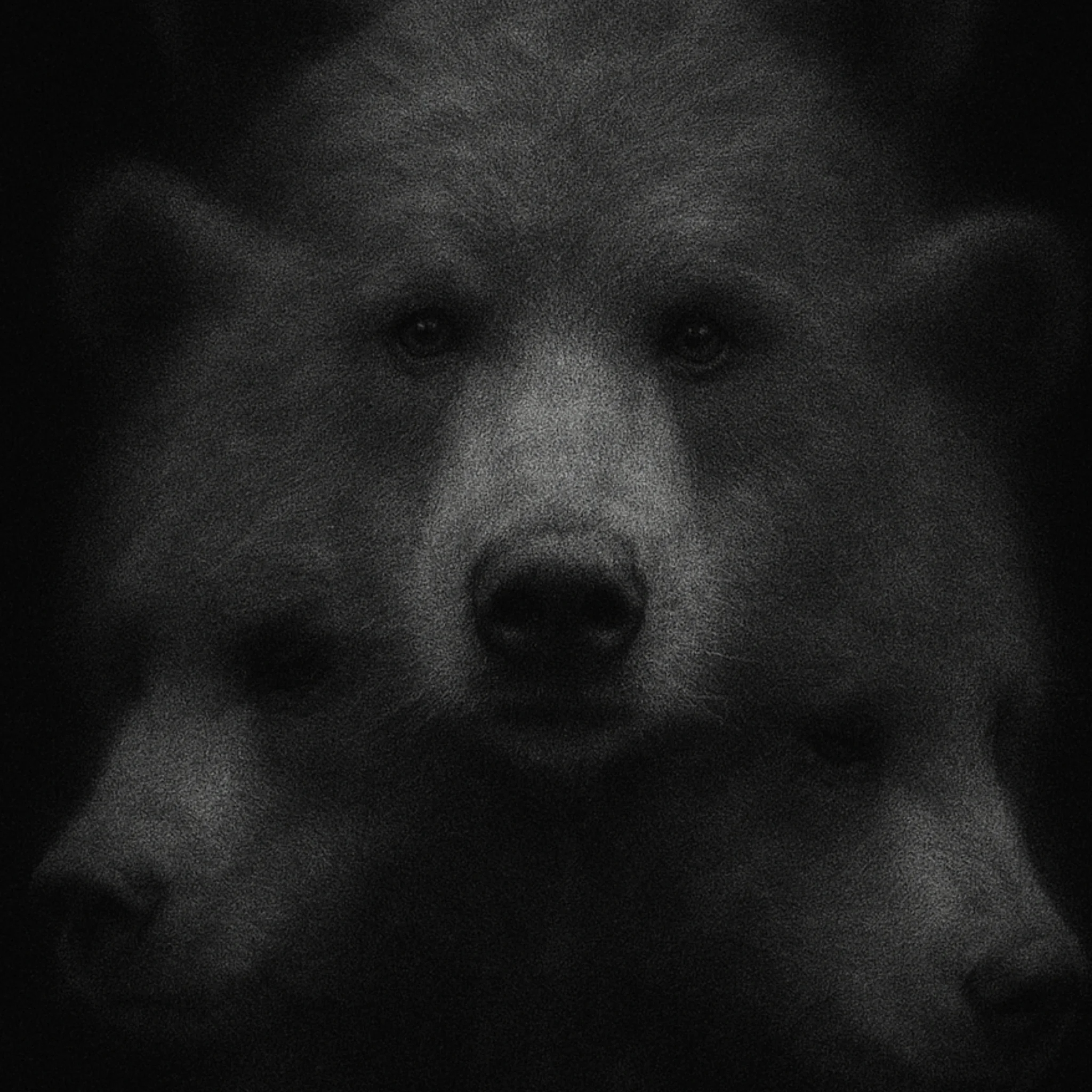 Three face fuzzy 