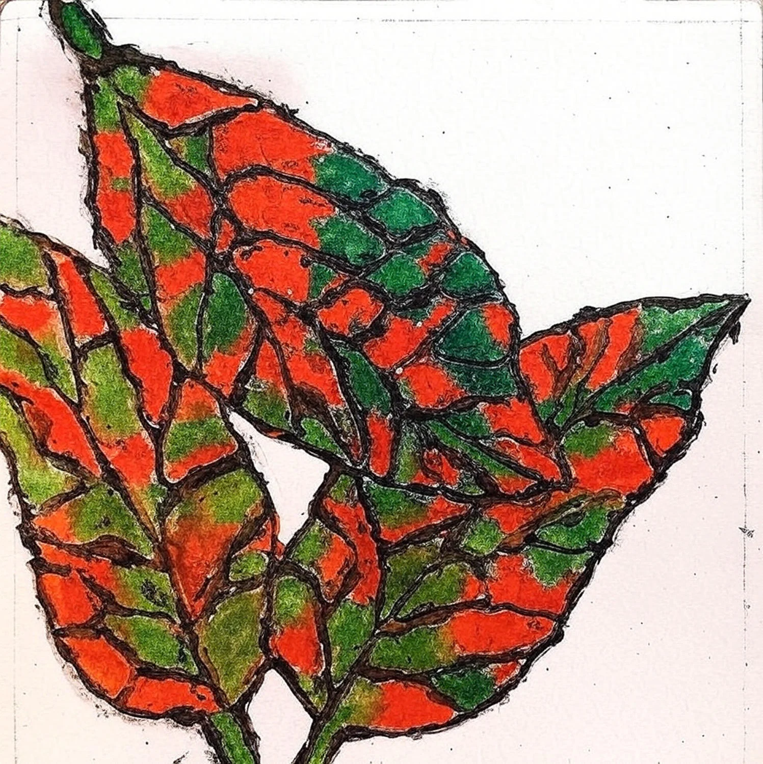 Leaves of hope for Palestine 