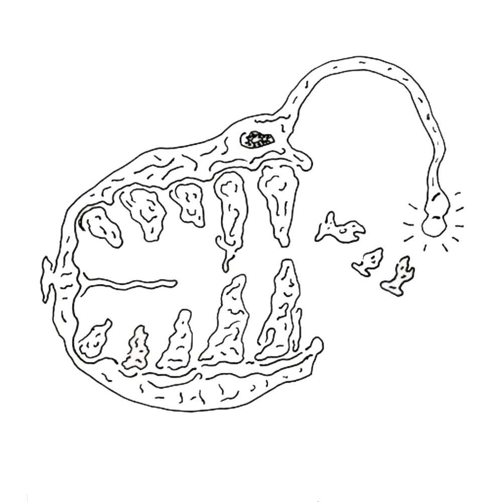 ANGLAR FISH