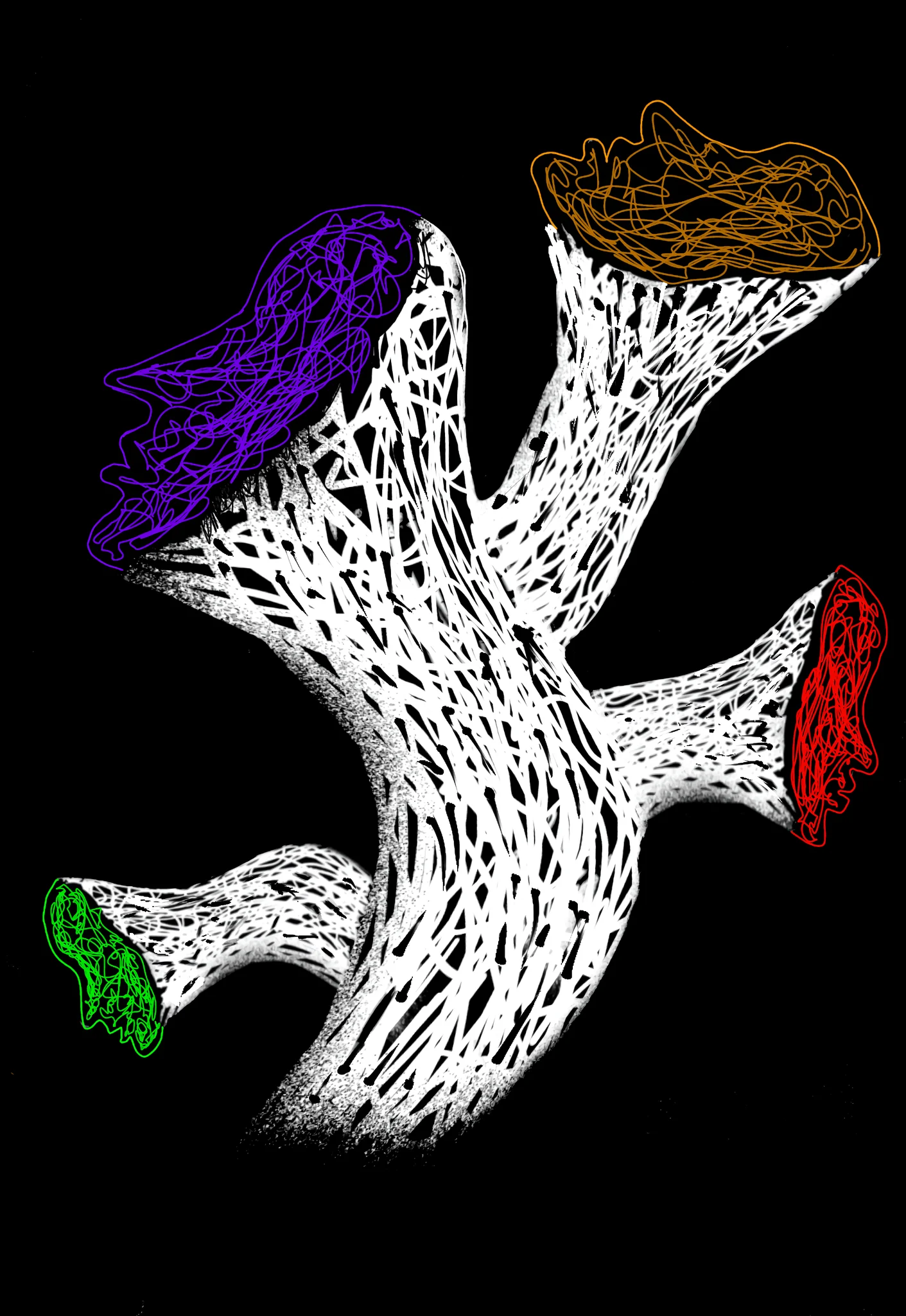 Roots of Identity