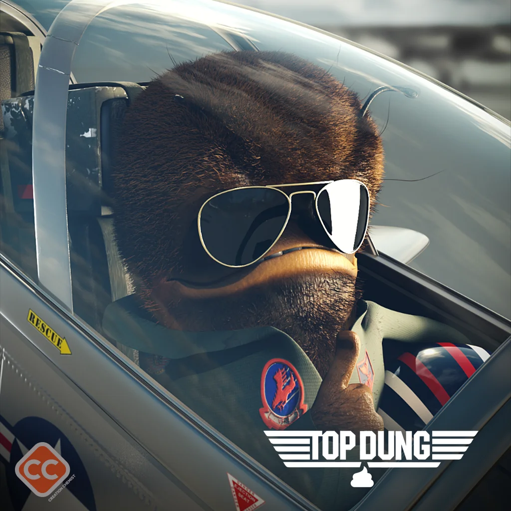 TopDung
