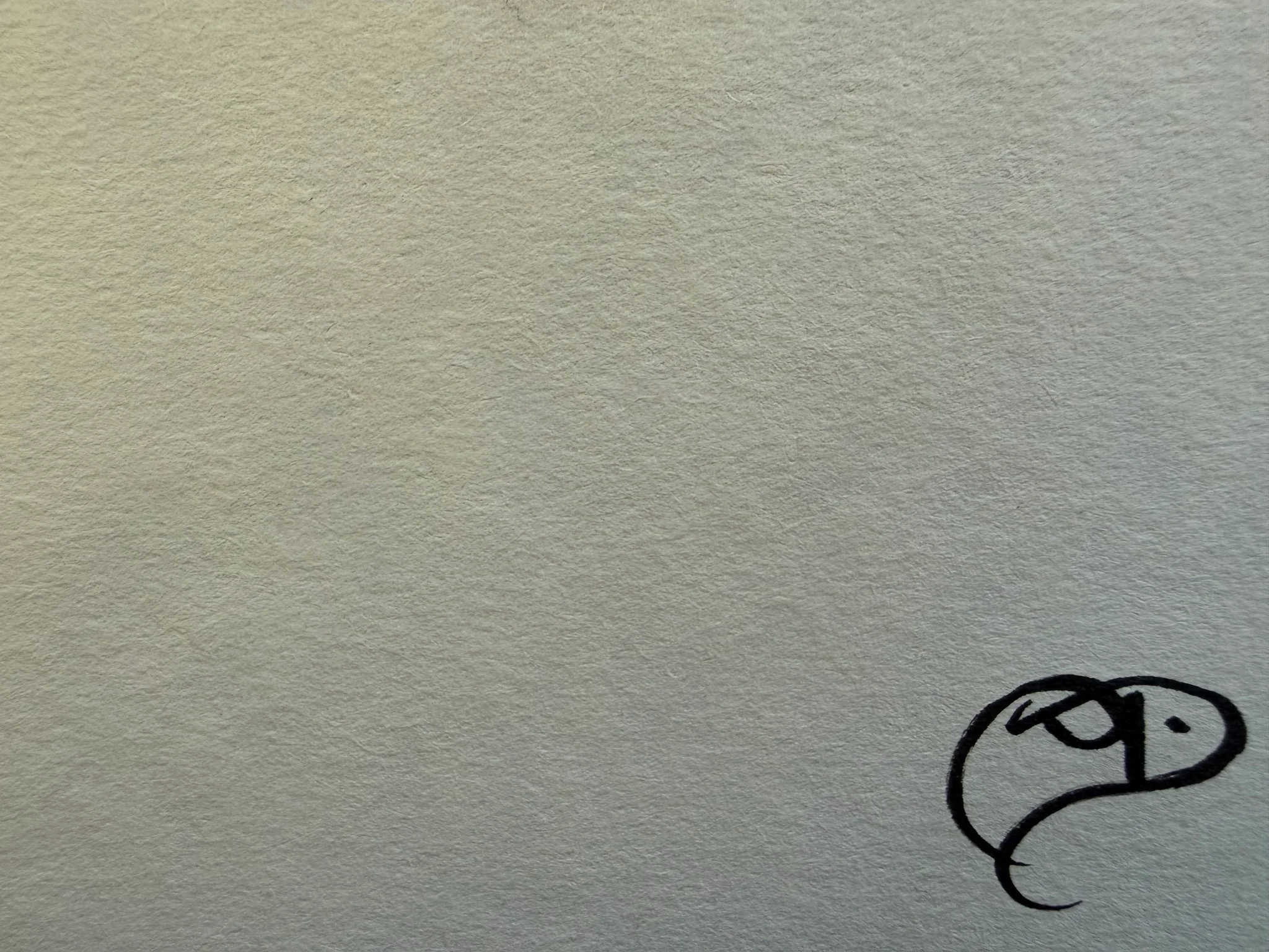 My Initial Signature 