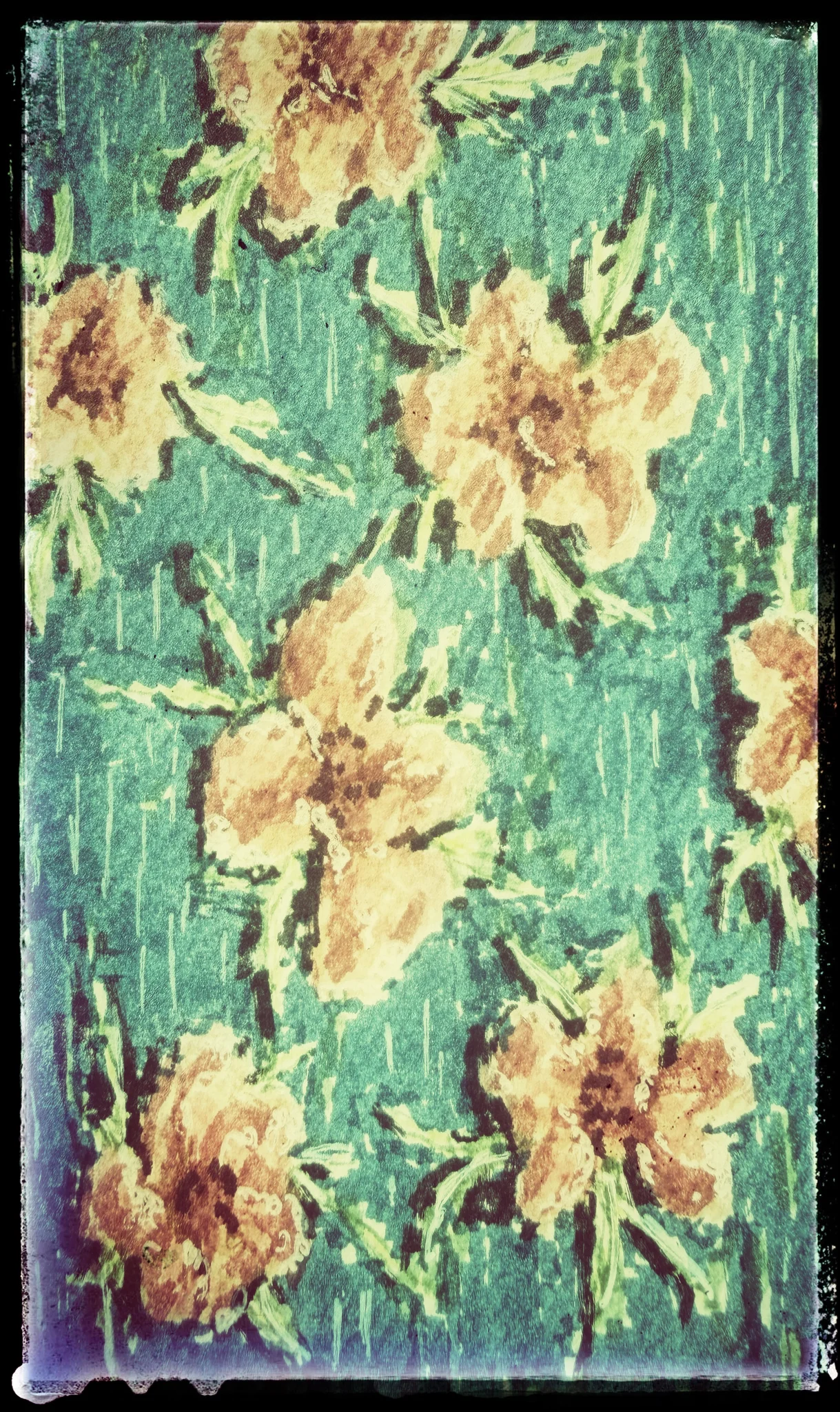 Flower Power 6