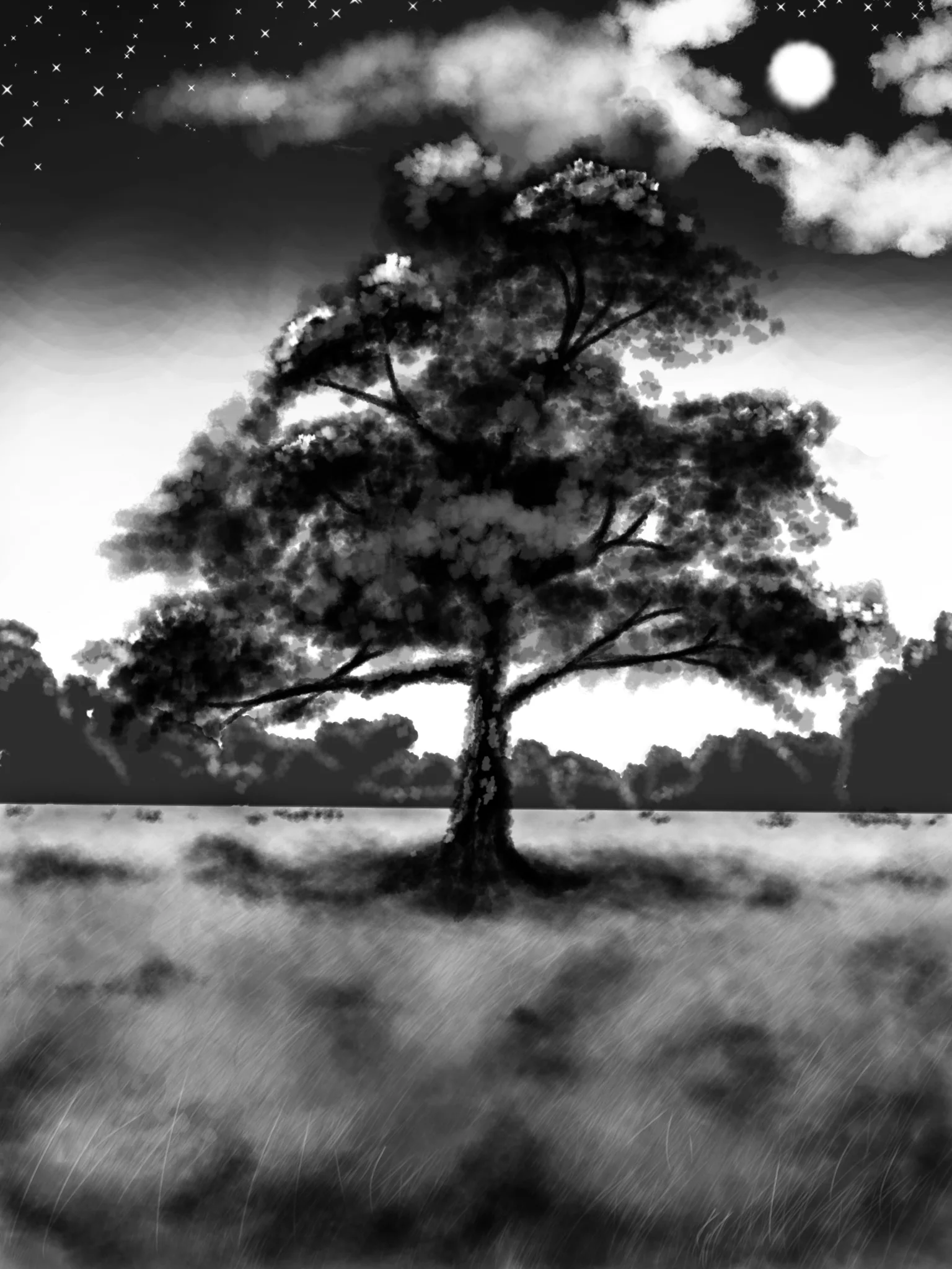 Lunar Meadow
