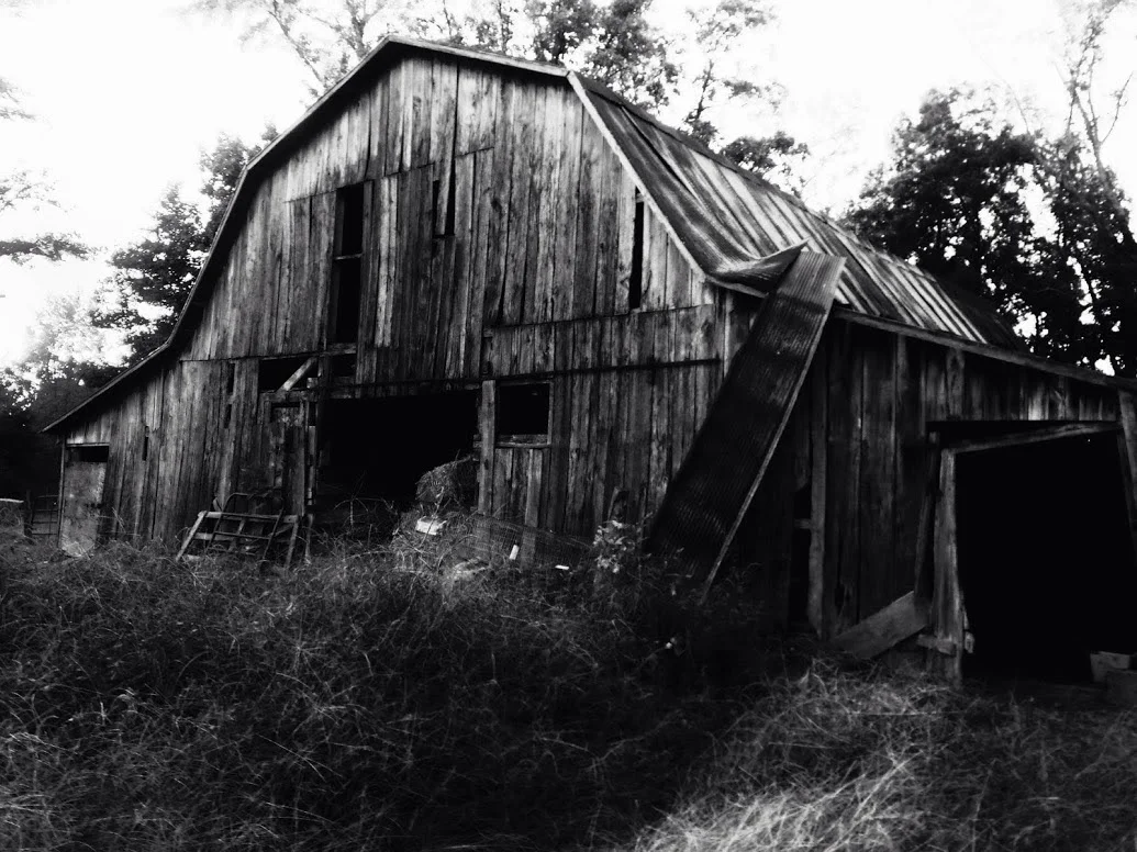 Shadow Barn